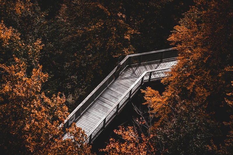 Canopy Exploration